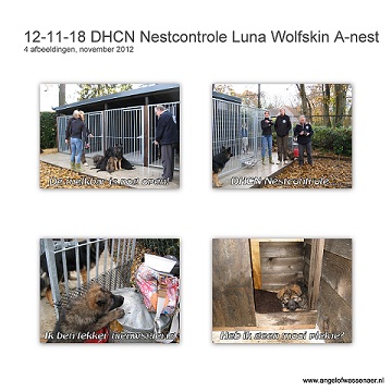DHCN nestcontrole bij Luna Wolfskin